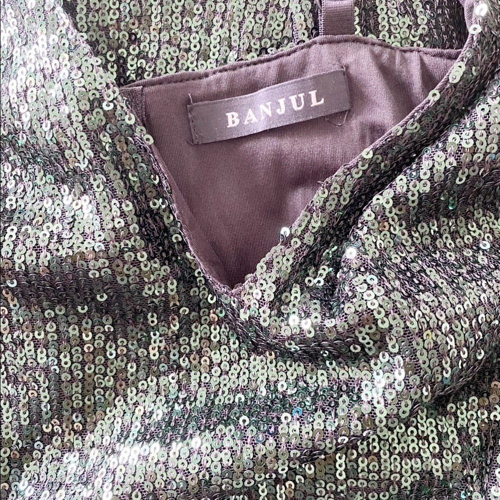 Olive Green Sequin Dress - Picture 6 of 7